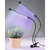 Hama Stick lampe de table 24 W LED Noir