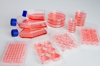 Cell culture dishes Nunclon™ Sphera™