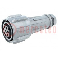 Connector: circular; plug; female; PIN: 7; EXPlora; Contacts: brass