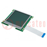 Display: LCD; grafisch; 160x160; COG,FSTN Positive; LED; PIN: 18