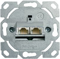 Telegärtner 100022944 wandcontactdoos 2 x RJ-45 Zink