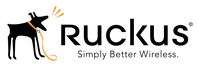 RUCKUS Networks CLD-CLP5-4999 estensione della garanzia