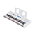 Yamaha EZ-300 MIDI-Tastatur 61 Schlüssel USB Silber, Weiß