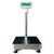 Floor counting scales, 75Kg x 5g