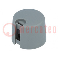 Knob; with pointer; plastic; Øshaft: 6.35mm; Ø20x16mm; grey; A10