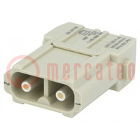 Connector: HDC; module; mannelijk; Han-Modular®; PIN: 2; 40A; 1000V