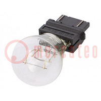Filament lamp: automotive; W2,5x16q; transparent; 12V; 27/7W