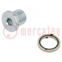 Protection cap; zinc plated steel; Thread: G 1/4"; 11Nm