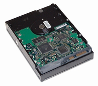 HP 391945-001 3.5" 80 GB