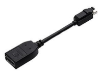 PNY Mini DisplayPort/DisplayPort Schwarz