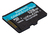 Kingston Technology Canvas Go! Plus 128 GB MicroSD UHS-I Klasa 10