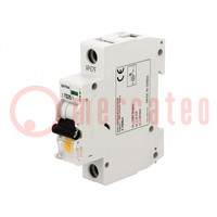 Tariff switch; Poles: 1; for DIN rail mounting; Inom: 25A; 230VAC