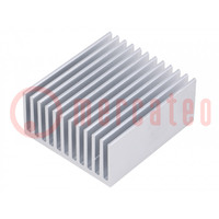 Heatsink: extruded; grilled; natural; L: 50mm; W: 45mm; H: 22mm; raw