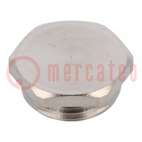 Protection cap; Thread: M20; Spanner: 22mm