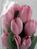 Artificial Tulip Bunch - 29cm, Pink