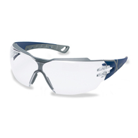 Uvex 9198275 Schutzbrille/Sicherheitsbrille Blau, Grau
