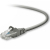 Belkin CAT5e Patch Cable Snagless Molded Netzwerkkabel Grau 1 m U/UTP (UTP)