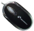 Techmade TM-2023 mouse Ambidestro USB tipo A Ottico 800 DPI
