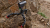 Joby GorillaPod Action Tripod treppiede Fotocamere digitali/film 3 gamba/gambe Nero