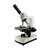 Microscopio Ecoline C20 (cabezal binocular), cable EU
