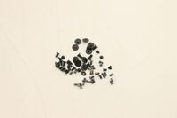 SCREW Screw Pack W 21AR Inne czesci zamienne do notebooków