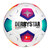 Derbystar Fußbälle-Set, 5x Bundesliga Brillant APS v23, Größe 5, inkl. Ballschlauch