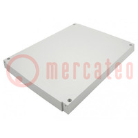 Hinged front panel; polycarbonate; W: 362mm; L: 479mm; CAB