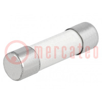Fuse: fuse; 6A; 500VAC; ceramic,cylindrical,industrial; 10.3x38mm