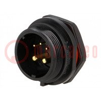 Socket; SP21; male; PIN: 5(2+3); IP68; 5A,30A; soldering; 500V