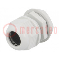 Cable gland; M20; 1.5; IP65; polyamide; grey