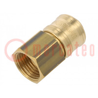 Quick connection coupling EURO; brass; Int.thread: 1/2"