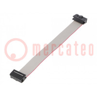 Cavo a nastro con connettori IDC; Spaz.striscia: 1,27mm; 0,15m