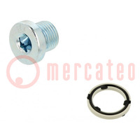 Protection cap; zinc plated steel; Thread: G 1/8"; 3.5Nm