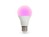SMART WIFI RGB-LAMP - KOUDWIT & WARMWIT - E27 - A60