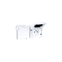 DOBLE TOMA HORIZONTAL 2P+T OXXO - 1 POSTE - 16A - 250V - IP55 - BLANCO