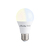 Shelly Duo Intelligentes Leuchtmittel WLAN Weiß 4,8 W