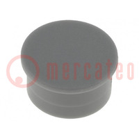 Cap; thermoplastic; push-in; grey