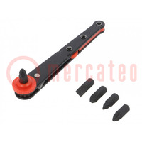 Kit: screwdriver bits; Phillips,slot; 111mm