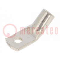 Terminal: anillo tubular; M5; 25mm2; crimpados; para conducto