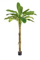 Artificial Banana Tree FR - 240cm, Green