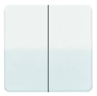 Wippe_2t Schalter CD ws glz
