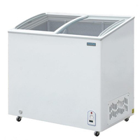 Polar Refrigeration CM433 Industrieller Kühl/Gefrierschrank Eiscreme-Gefrierschrank 200 l Freistehend