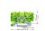 Wago 2000-1307 morsettiera Verde