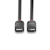 Lindy 0.5m DisplayPort 1.2 Cable, Black Line