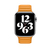 Apple 44mm California Poppy Leather Link - Small