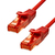 ProXtend 6UTP-02R hálózati kábel Vörös 2 M Cat6 U/UTP (UTP)