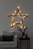 Konstsmide 6341-820 iluminación decorativa Cadena de luces decorativa 10 bombilla(s) LED 0,6 W