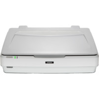EPSON Filmscanner - Expression 13000XL (A3, 2400x4800 DPI, 12 mp/oldal, USB)