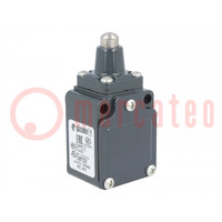 Limit switch; pin plunger Ø10mm; NO + NC; 6A; 400VAC; PG11; IP67