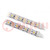 Programmable LED tape; RGBW; 5050; 5V; LED/m: 60; 10mm; white PCB